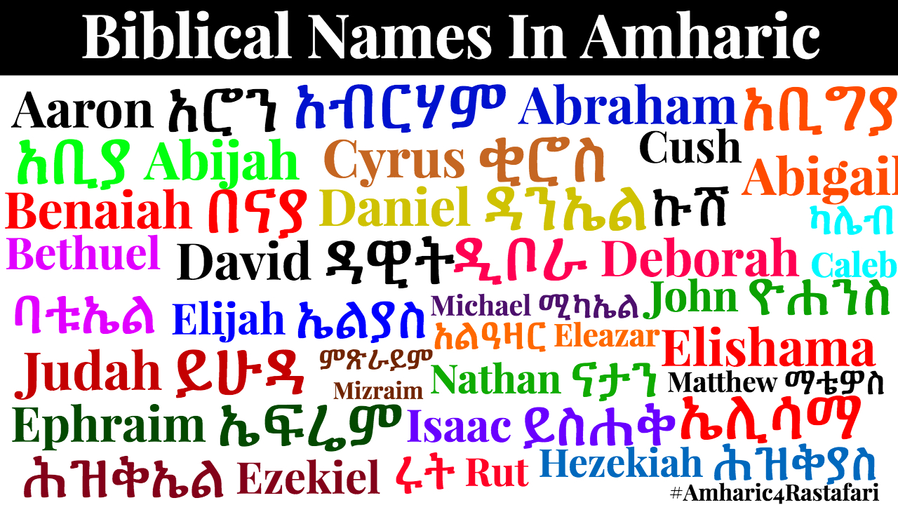 orthodox amharic books in pdf